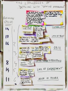 Challenges dealing with Senior Management